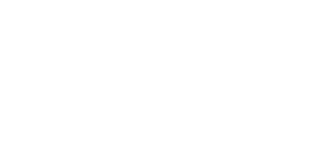 C-Tech Footer Logo